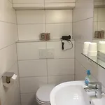 Leirer Apartament Alpbach