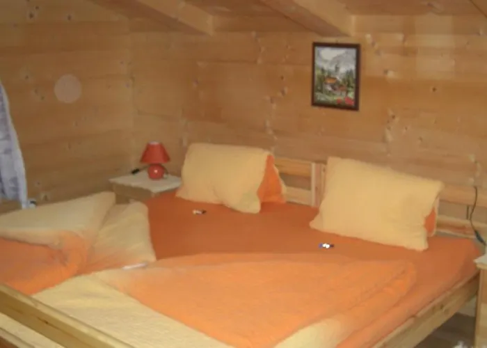 Leirer Apartament Alpbach