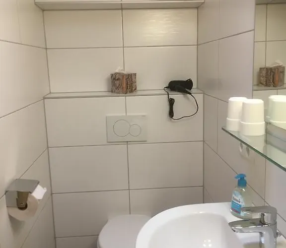 Leirer Apartament Alpbach